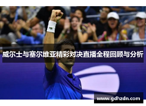 威尔士与塞尔维亚精彩对决直播全程回顾与分析