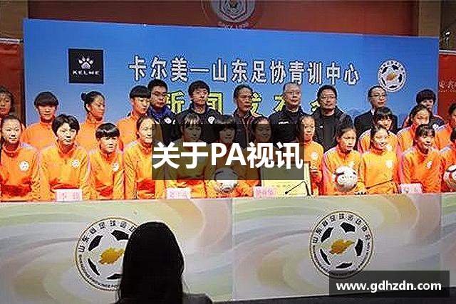 关于PA视讯